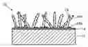 Fig. 01 - Field emission electrode, method of manufacturing the same, and field emission device comprising the same