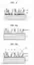 Fig. 03 - Field emission electrode, method of manufacturing the same, and field emission device comprising the same