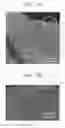Fig. 05 - Field emission electrode, method of manufacturing the same, and field emission device comprising the same