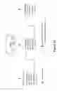 Fig. 22 - Authenticated radio frequency identification and key distribution system therefor