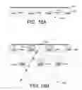 Fig. 22 - System and method for intrusion detection using a time domain radar array
