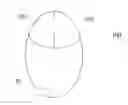 Fig. 01 - COMPUTER MOUSE CAPABLE OF SWITCHING BETWEEN A LEFT-HANDED MODE AND A RIGHT-HANDED MODE