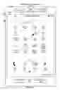 Fig. 06 - Portable Multifunction Device, Method, and Graphical User Interface for Interpreting a Finger Swipe Gesture