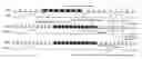 Fig. 01 - Methods for adjusting the synchronization in digital display application