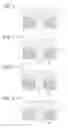 Fig. 03 - INKJET INK, INKJET INK SET, AND INKJET RECORDING METHOD