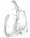 Fig. 02 - Eyewear with releasable, adjustable nosepiece