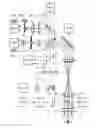 Fig. 02 - Device for measuring and surgical correction imaging errors in the human eye