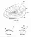 Fig. 06 - Generalized presbyopic correction methodology