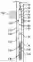 Fig. 01 - Laser diode array downhole spectrometer