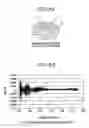 Fig. 07 - Roughness evaluation method and system