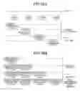 Fig. 31 - IMAGE-PROCESSING CONTROL DEVICE