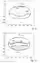 Fig. 07 - Projection objectives having mirror elements with reflective coatings