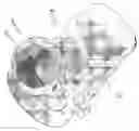 Fig. 13 - Container indicia magnifier