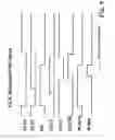 Fig. 09 - eDRAM hierarchical differential sense amp