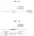 Fig. 02 - METHOD OF IMPROVING DEFECT COUNTERMEASURE OF APPARATUS FOR REPRODUCING OPTICAL INFORMATION STORAGE MEDIUM