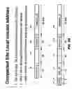 Fig. 09 - Access list key compression