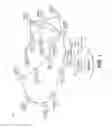 Fig. 02 - Distributed determination of dynamic frame sizes in a network