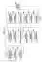 Fig. 22 - IMAGE ENCODER AND IMAGE DECODER, IMAGE ENCODING METHOD AND IMAGE DECODING METHOD, IMAGE ENCODING PROGRAM AND IMAGE DECODING PROGRAM, AND COMPUTER READABLE RECORDING MEDIUM RECORDED WITH IMAGE ENCODING PROGRAM AND COMPUTER READABLE RECORDING MEDIUM RECORDED WITH IMAGE DECODING PROGRAM