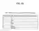 Fig. 79 - IMAGE ENCODER AND IMAGE DECODER, IMAGE ENCODING METHOD AND IMAGE DECODING METHOD, IMAGE ENCODING PROGRAM AND IMAGE DECODING PROGRAM, AND COMPUTER READABLE RECORDING MEDIUM RECORDED WITH IMAGE ENCODING PROGRAM AND COMPUTER READABLE RECORDING MEDIUM RECORDED WITH IMAGE DECODING PROGRAM