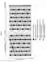 Fig. 09 - OFDM receiver, integrated circuit and receiving method