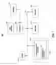 Fig. 02 - Self-configuring media devices and methods