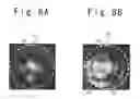 Fig. 09 - SEMICONDUCTOR LASER MODULE