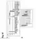 Fig. 49 - Identification of tumour-associated cell surface antigens for diagnosis and therapy
