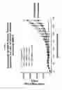 Fig. 02 - Cripto blocking antibodies and uses thereof