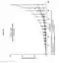 Fig. 03 - Dipterinyl calcium pentahydrate (DCP) and therapeutic methods based thereon