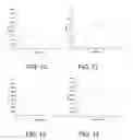Fig. 07 - Method for producing hydrocolloid foams