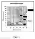 Fig. 06 - Methods and Composition For Dietary Supplements