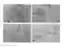 Fig. 01 - Methods of reducing pests and treating gastrointestinal nematode infections
