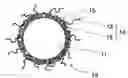 Fig. 01 - CONDUCTIVE COMPOSITE PARTICLE, METHOD OF MANUFACTURING THE SAME, ELECTRODE USING THE SAME, LITHIUM ION SECONDARY BATTERY
