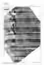 Fig. 02 - Multilayered coated cutting tool