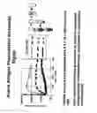Fig. 09 - Optoelectronic detection system