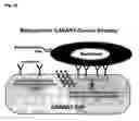 Fig. 25 - Optoelectronic detection system