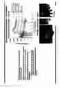 Fig. 47 - Optoelectronic detection system