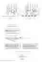 Fig. 02 - DETECTION OF NUCLEIC ACID ASSOCIATED WITH DISEASE