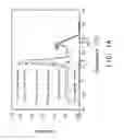 Fig. 02 - Sequences diagnostic for shrimp pathogens