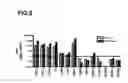 Fig. 06 - Genes and methods of using the same for diagnosis and for targeting the therapy of cardiovascular disease