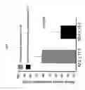 Fig. 09 - Method for diagnosing tumors