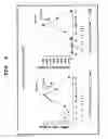 Fig. 09 - Method of Analyzing Dynamics in the Differentiation of Vascular Endothelial Progenitor Cells