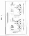 Fig. 10 - Method of Analyzing Dynamics in the Differentiation of Vascular Endothelial Progenitor Cells
