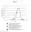 Fig. 02 - Peptide-forming enzyme gene
