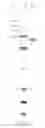 Fig. 04 - Method of organic polymer degradation by dihydrolipoamide dehydrogenase