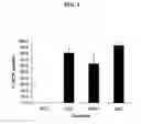 Fig. 02 - Compostions and methods for growing human embryonic stem cells