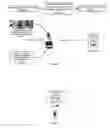 Fig. 02 - WINNER NOTIFICATION SYSTEM