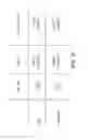 Fig. 08 - Inhibitors of USP1 Deubiquitinating Enzyme Complex