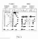 Fig. 06 - Trans-excision-splicing ribozyme and methods of use