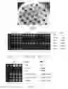 Fig. 02 - Materials and methods for detecting interaction of CFTR polypeptides